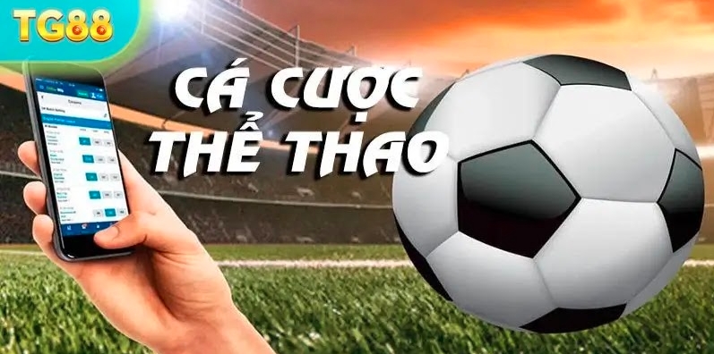 Giới thiệu về chuyên mục này của nhà cái